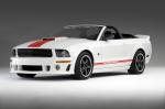 Ford Mustang Speedster by Roush 2008 года